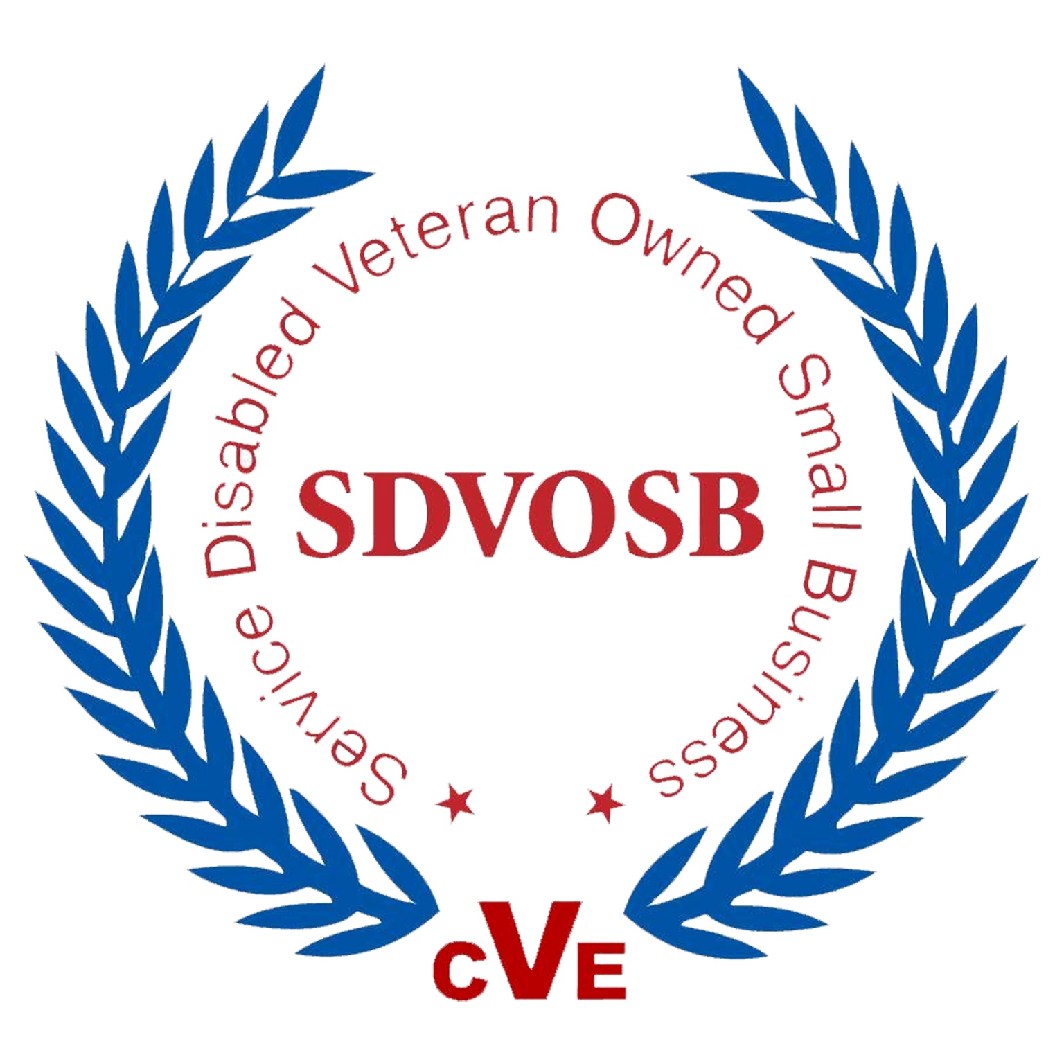 SDVOSB Service Disabled Veteran Owned Small Business logo